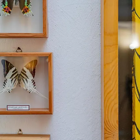 Terrazze Del Porto Πόρτο Τσέρβο