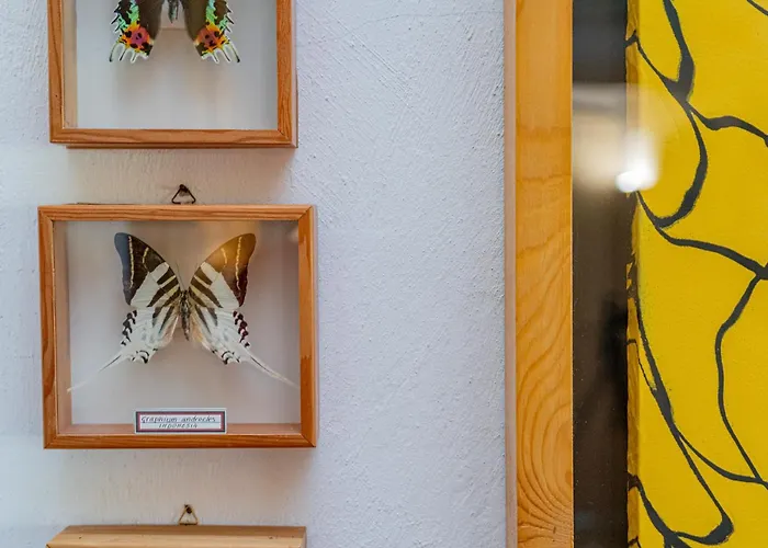 Terrazze Del Porto Porto Cervo